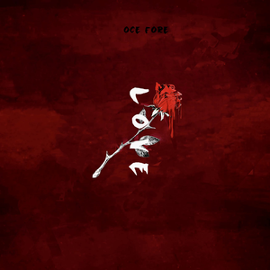 日本少妇棵、体
