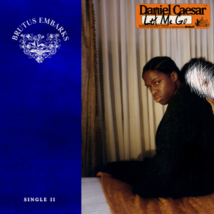 日本少妇棵、体
